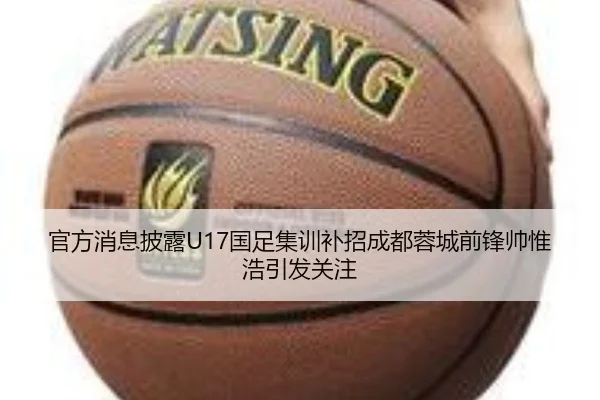 官方消息披露U17国足集训补招成都蓉城前锋帅惟浩引发关注